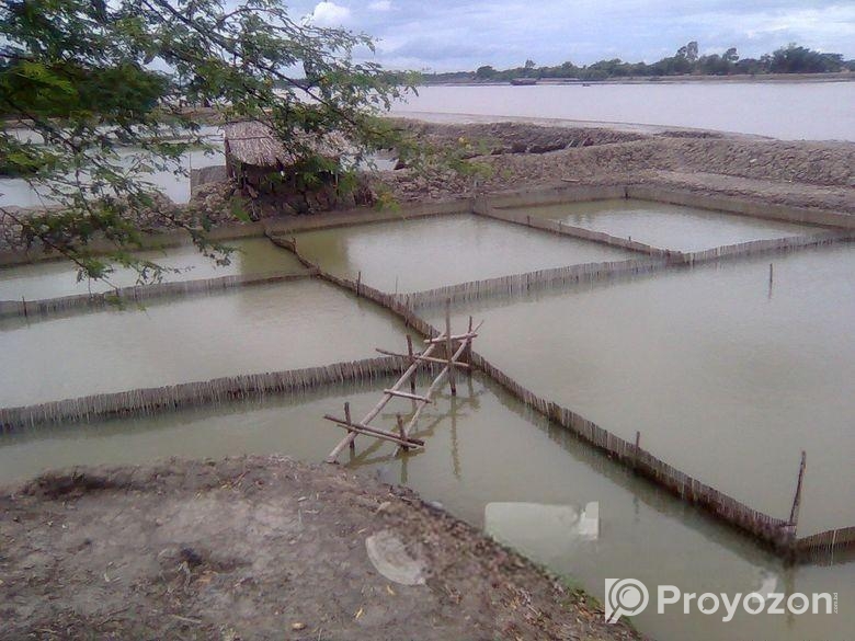 Land Rental