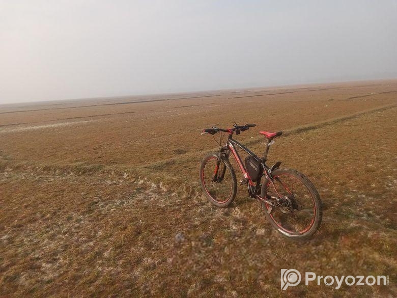Bicycle for sell
