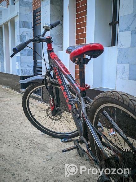 Bicycle for Sale