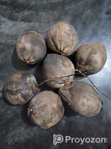 বড় সাইজের মিষ্টি নারকেল!