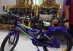 22 inch alton jumbo bicycle
