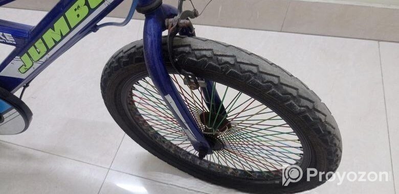 22 inch alton jumbo bicycle