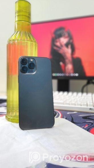 Apple iPhone 13 Pro Max (Used)