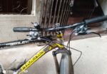 Phonix Cycle