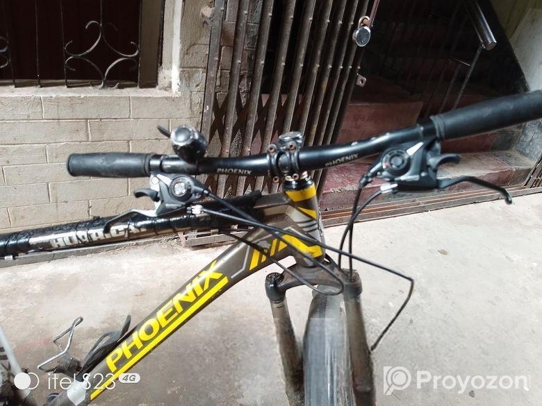 Phonix Cycle