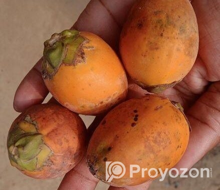 সুপারি বিক্রি