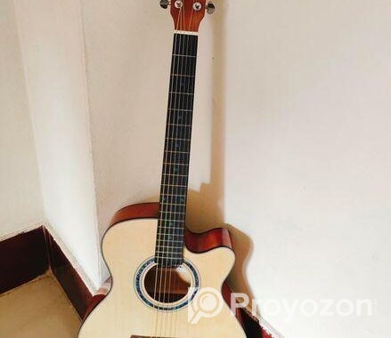 Custom Guitar Acoustic MD CAG 2