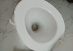 RfL Plastic Comod