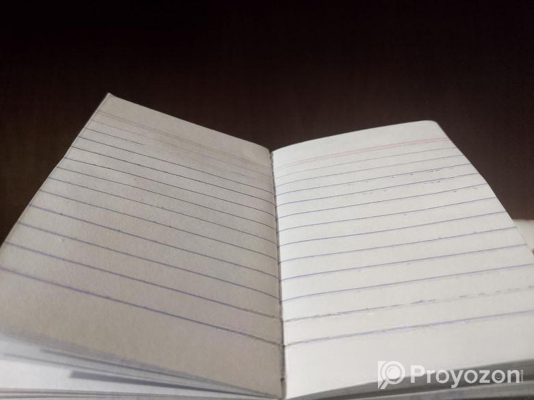 Mini Diary