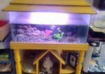 Aquarium