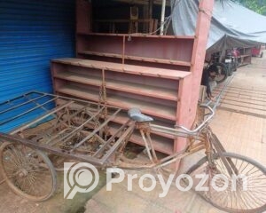 fitted-13_2025-08-12_09-18-47