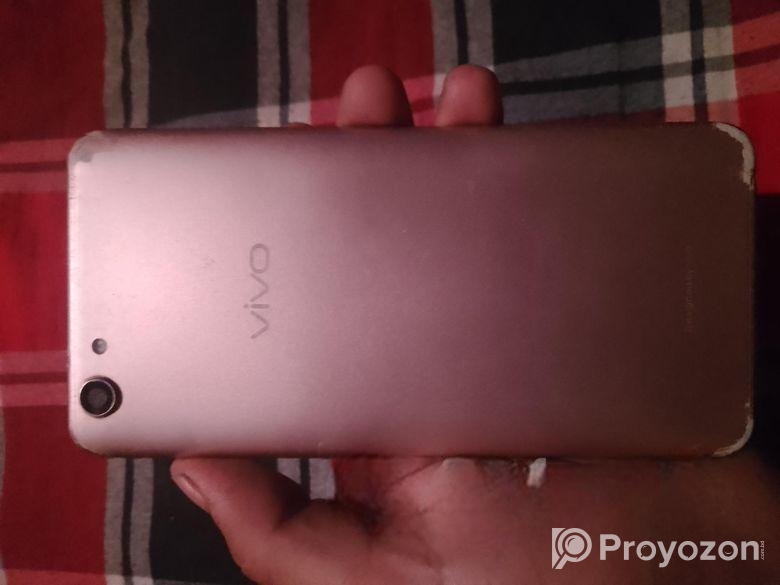 Vivo (Used)