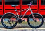 Bicycle Marine মাউন্টেন বাইসাইকেল