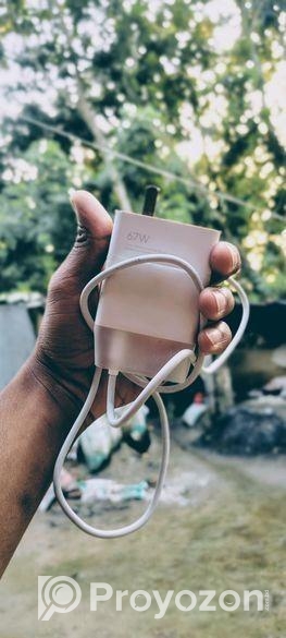 Mi 67 Watt Charger