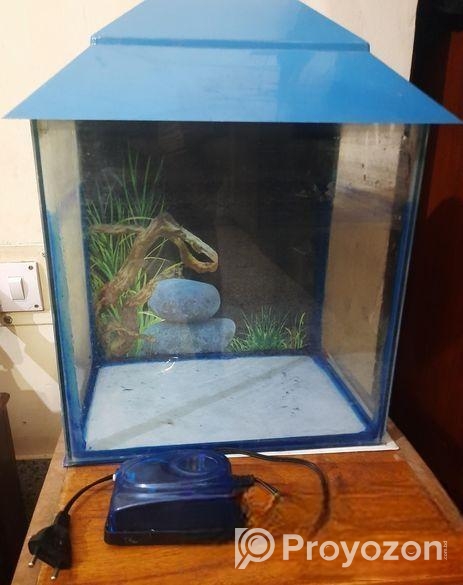 Aquarium setup