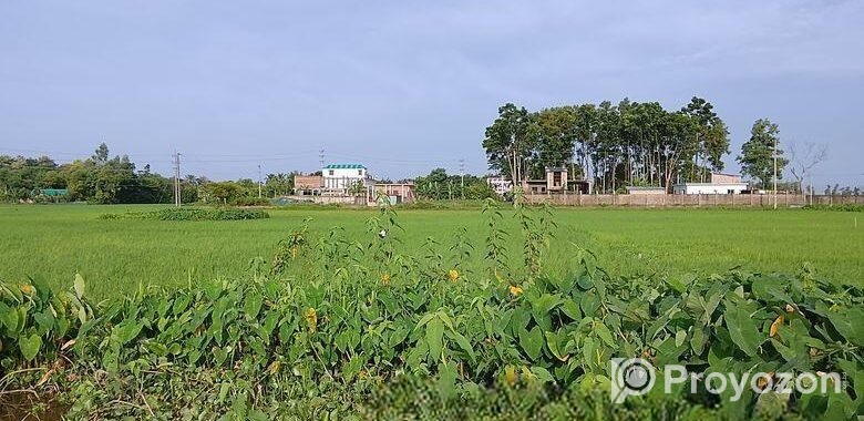 জমি বিক্রয়।