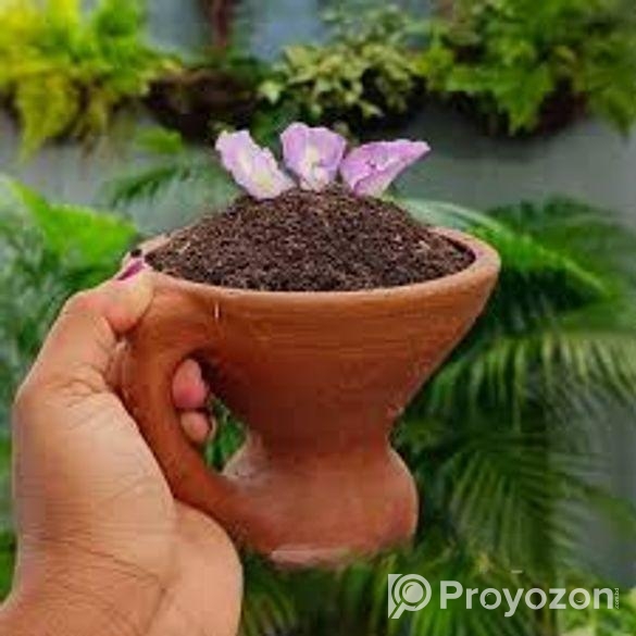 জৈব সার