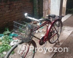 fitted-19_2025-08-12_09-29-27