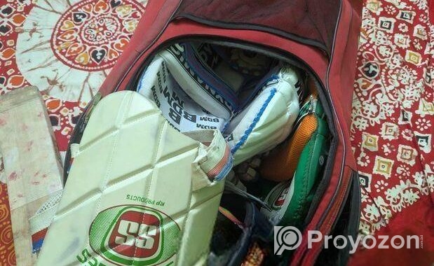 cricket set