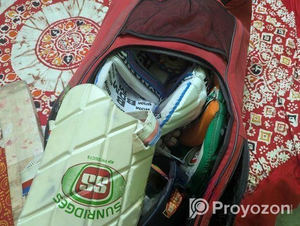 cricket set