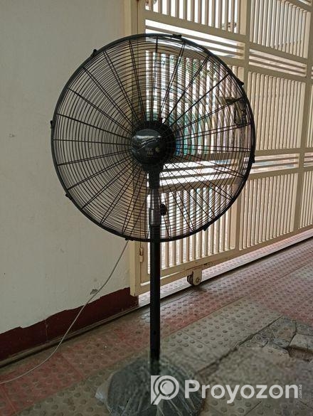 পাকিস্তানি পাক ফ্যান ২৪ সাইজ