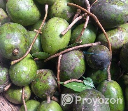 আমড়া