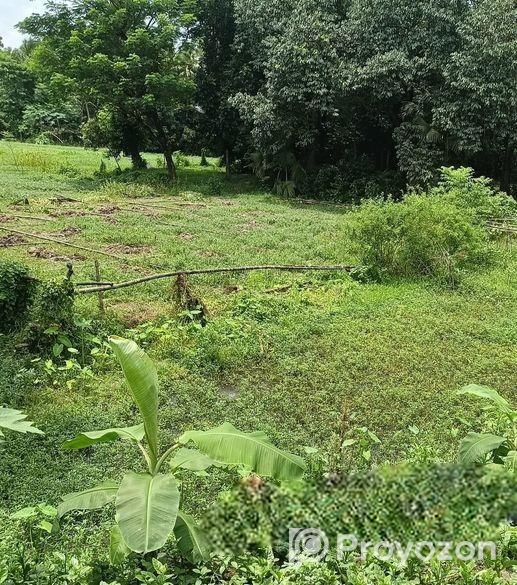 জমির বিক্রয়