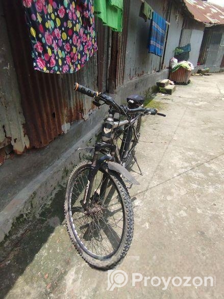Foxter Cycle