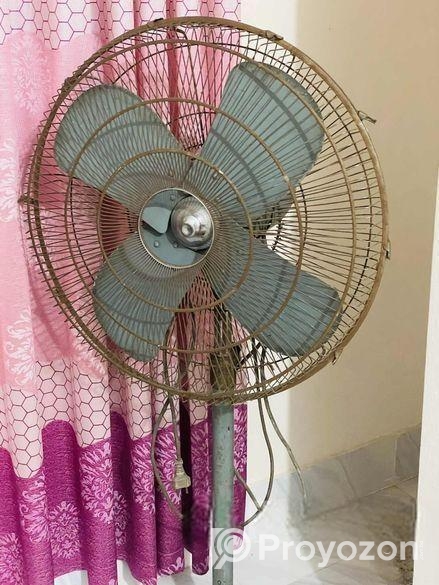 Stand Fan