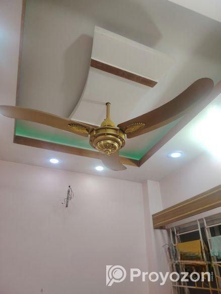পাকিস্তানি ফ্যান