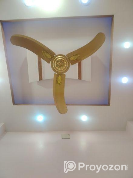 পাকিস্তানি ফ্যান