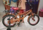 Baby 16 inch cycle