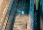 কাবাব স্ট্যান্ড