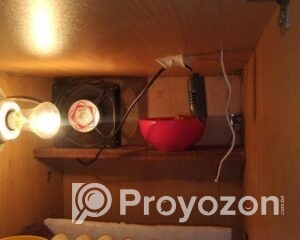 fitted-2025-08-25T231211.658_2025-08-25_23-13-03