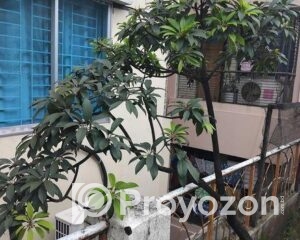 fitted-2025-08-29T225021.248_2025-08-29_22-51-24