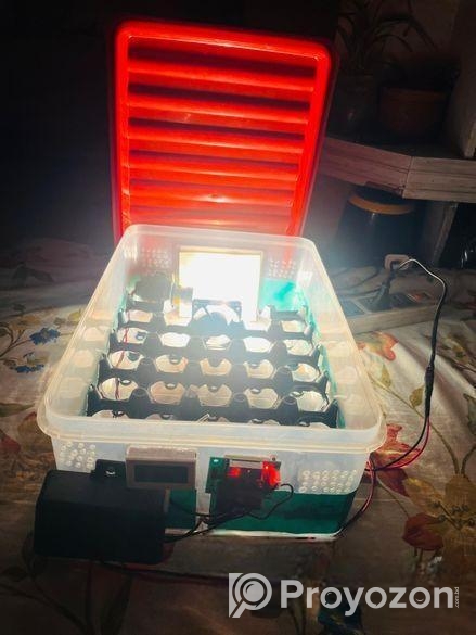 Auto Incubator