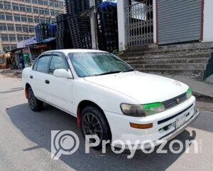 fitted-20_2025-08-17_16-49-02