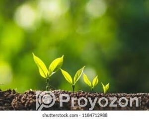 fitted-21_2025-08-09_09-54-46