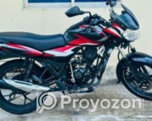 fitted-21_2025-08-11_10-01-11