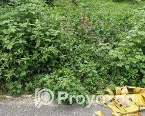 fitted-22_2025-08-17_16-42-55