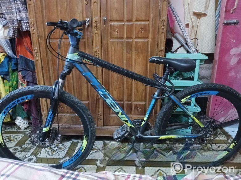 Phoenix kubo Cycle