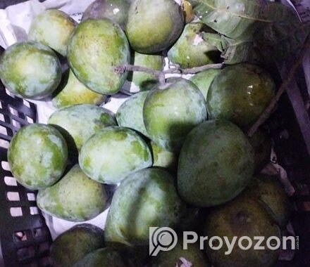 রংপুরের হাড়িভাঙ্গা আম