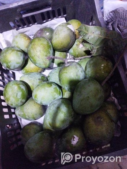রংপুরের হাড়িভাঙ্গা আম