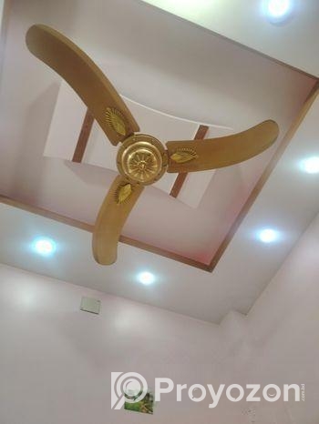 পাকিস্তানি ফ্যান