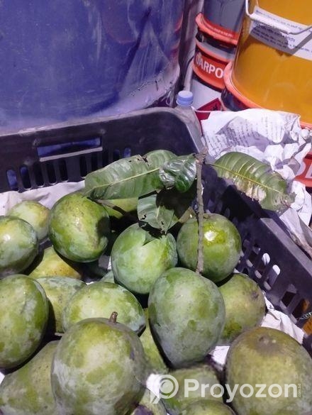 রংপুরের হাড়িভাঙ্গা আম