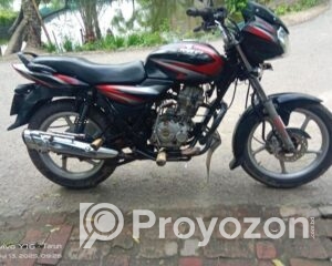 fitted-24_2025-08-11_10-22-17