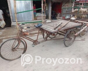 fitted-25_2025-08-16_10-40-35