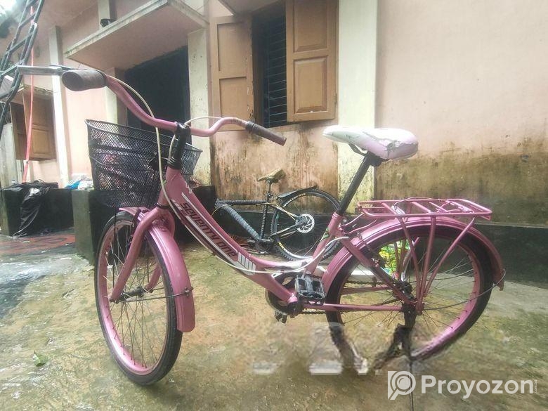 বাইসাইকেলে