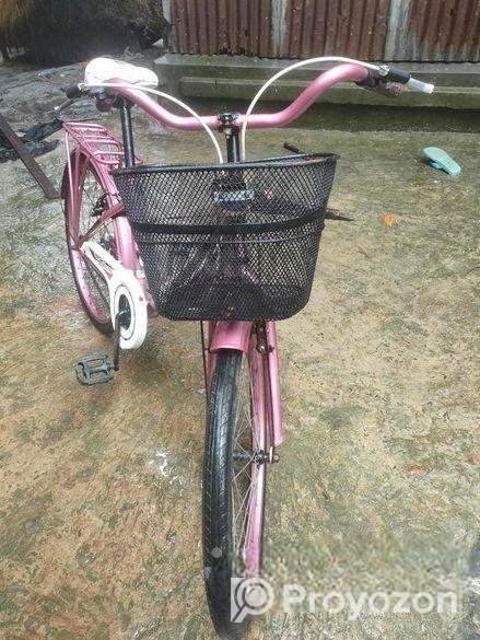 বাইসাইকেলে