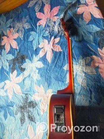 Guitar